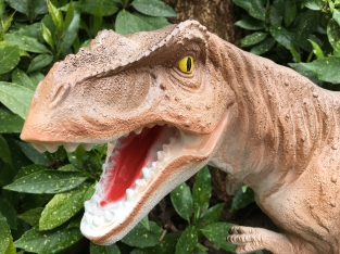 Dinosaurier, schöne Statue eines Tyrannosaurus